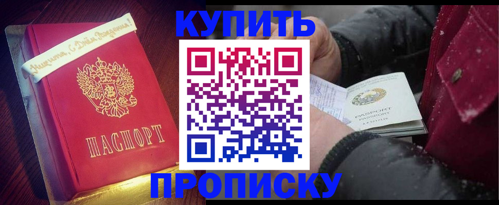 прописка гарантия в Северске